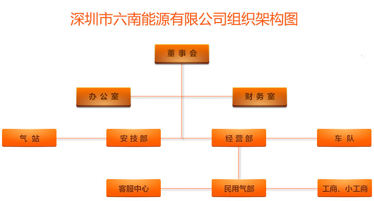 深圳市六南能源有限公司组织架构图